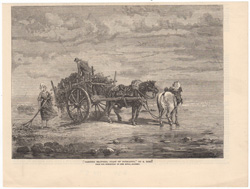 Carting Seaweed, Coast of Normandy